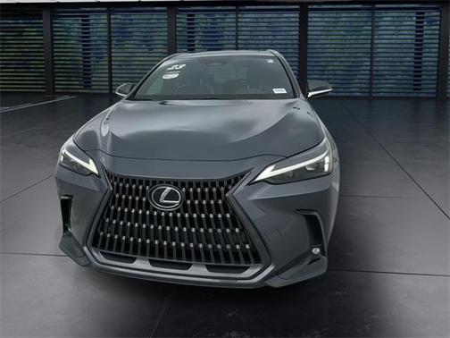 2023 Lexus NX 250 Premium