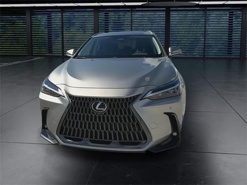2025 Lexus NX 250 Base