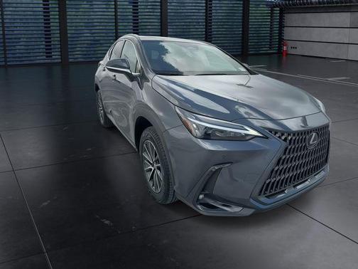Cloudburst Gray 2025 Lexus NX 250 Premium
