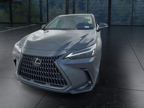 Cloudburst Gray 2025 Lexus NX 250 Premium