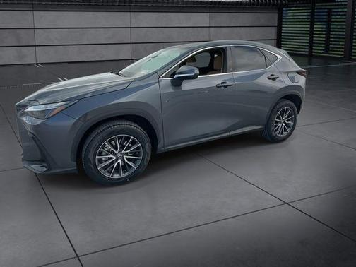 Cloudburst Gray 2025 Lexus NX 250 Premium