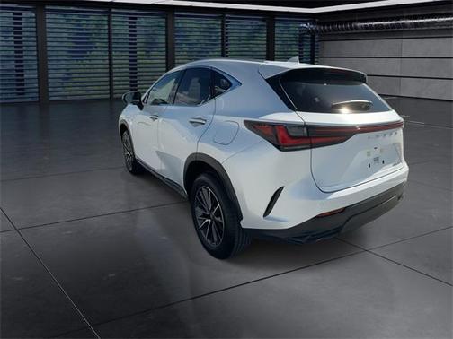 2024 Lexus NX 250 Premium