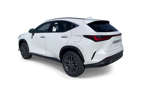 2024 Lexus NX 250 Premium