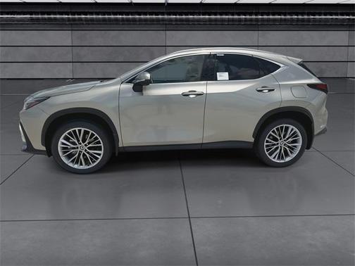 2025 Lexus NX 350h Premium