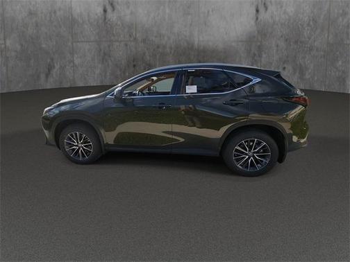 2025 Lexus NX 250 Premium