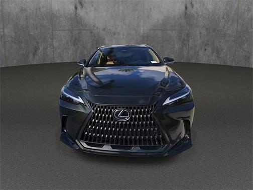2025 Lexus NX 250 Premium