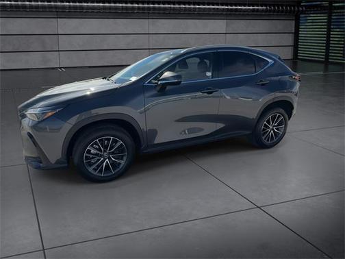 2025 Lexus NX 250 Premium