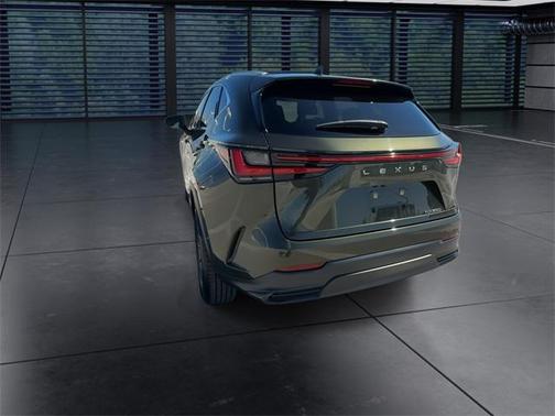 2024 Lexus NX 250 Premium