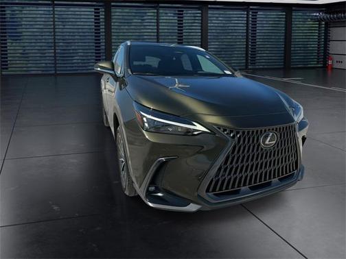 2024 Lexus NX 250 Premium