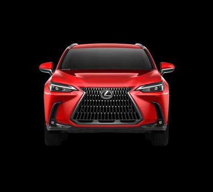 2025 Lexus NX 250 Base