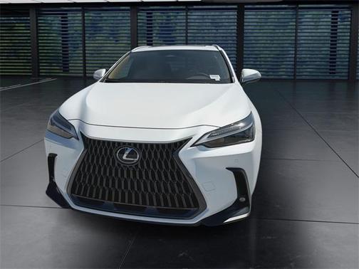 2025 Lexus NX 250 Premium