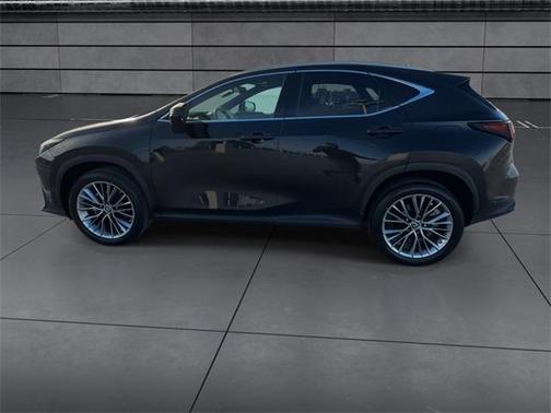 2022 Lexus NX 350 Premium