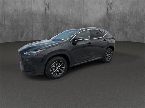 2024 Lexus NX 250 Premium