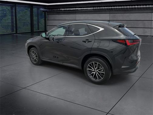 2024 Lexus NX 250 Premium