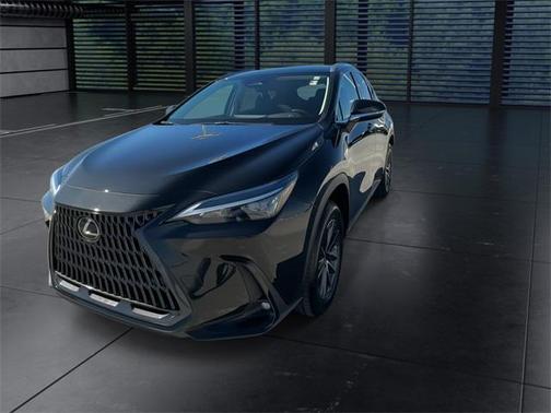 2023 Lexus NX 250 Premium