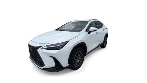 2023 Lexus NX 350 Premium