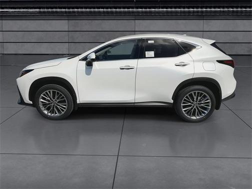 2025 Lexus NX 350h Premium