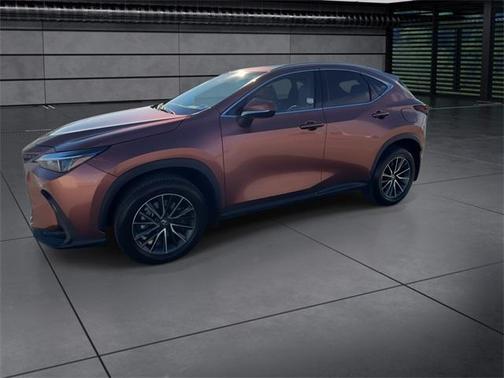 2025 Lexus NX 250 Premium