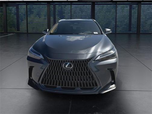 2025 Lexus NX 250 Premium