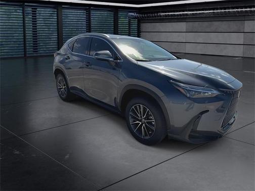 2025 Lexus NX 250 Premium
