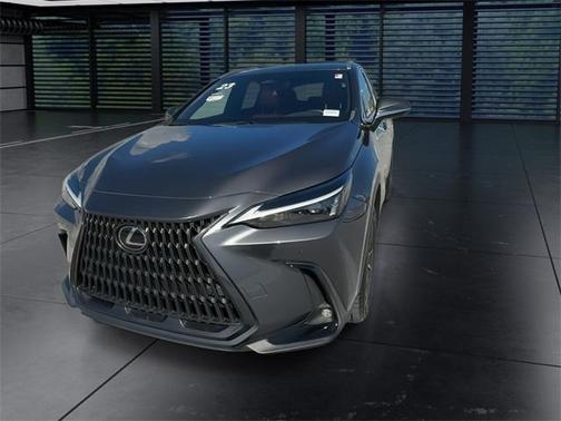 2023 Lexus NX 250 Premium