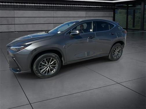 2023 Lexus NX 250 Premium