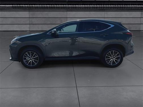 2024 Lexus NX 250 Base