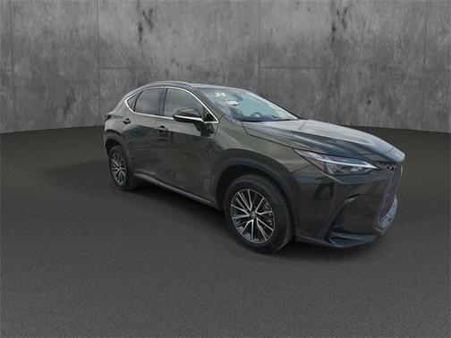 2024 Lexus NX 250 Premium