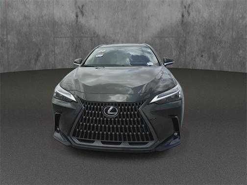 2024 Lexus NX 250 Premium