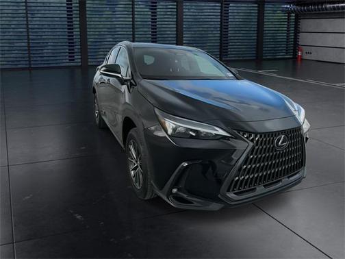 2024 Lexus NX 250 Premium