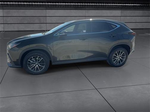 2024 Lexus NX 250 Base
