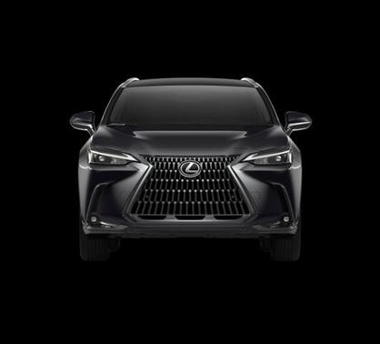 2025 Lexus NX 250 Premium