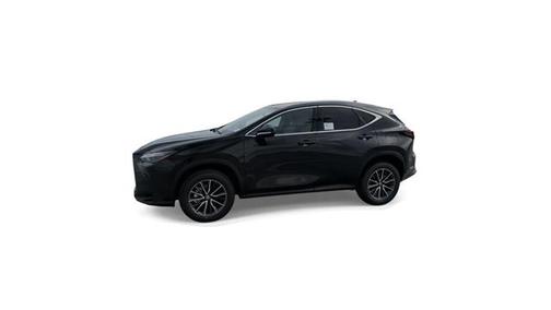 2025 Lexus NX 250 Base