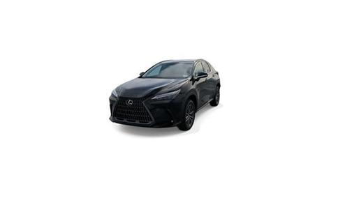 2025 Lexus NX 250 Base