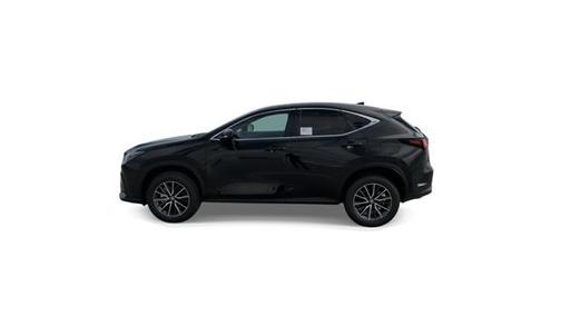 2025 Lexus NX 250 Base