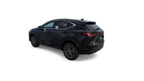 2025 Lexus NX 250 Base