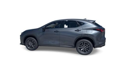 Cloudburst Gray 2025 Lexus NX 250 Premium