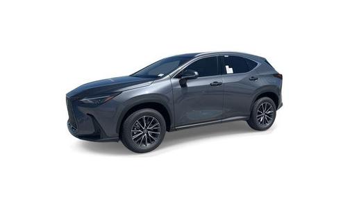 Cloudburst Gray 2025 Lexus NX 250 Premium