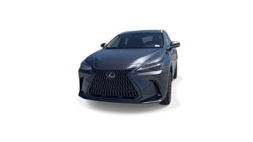 Cloudburst Gray 2025 Lexus NX 250 Premium