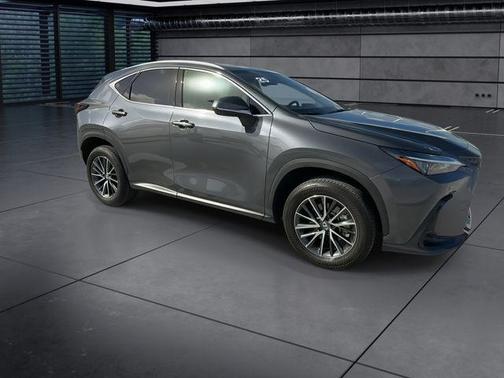Cloudburst Gray 2025 Lexus NX 250 Premium