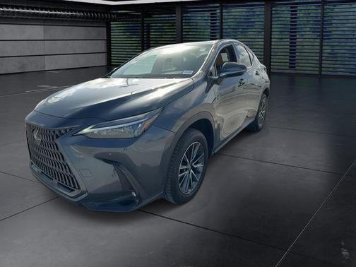 Cloudburst Gray 2025 Lexus NX 250 Premium