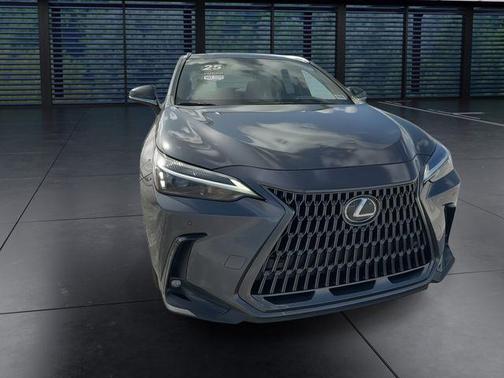 Cloudburst Gray 2025 Lexus NX 250 Premium