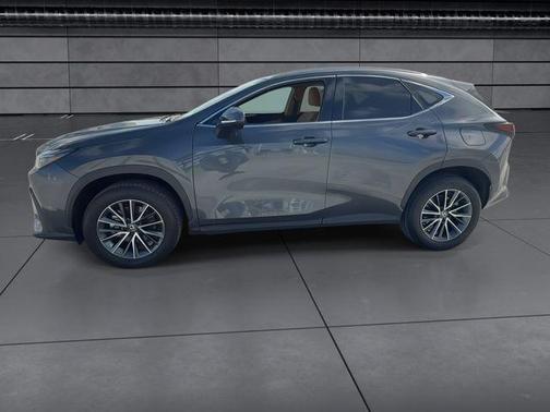 Cloudburst Gray 2025 Lexus NX 250 Premium
