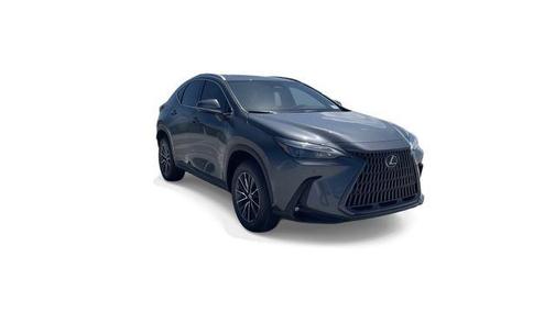Cloudburst Gray 2025 Lexus NX 250 Premium