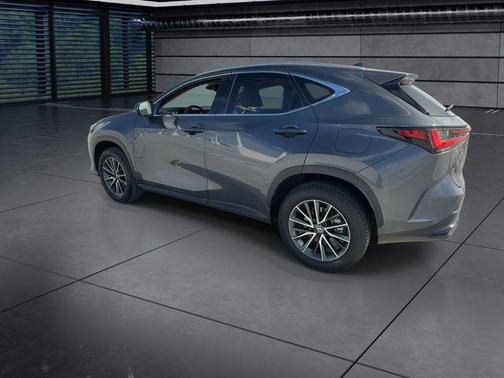 Cloudburst Gray 2025 Lexus NX 250 Premium