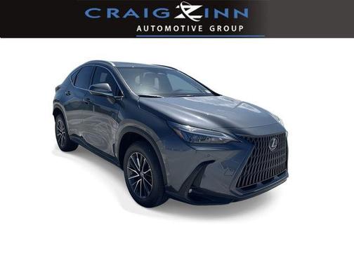 Cloudburst Gray 2025 Lexus NX 250 Premium