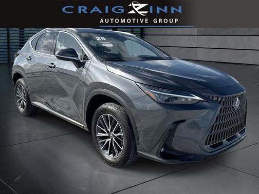 Cloudburst Gray 2025 Lexus NX 250 Premium