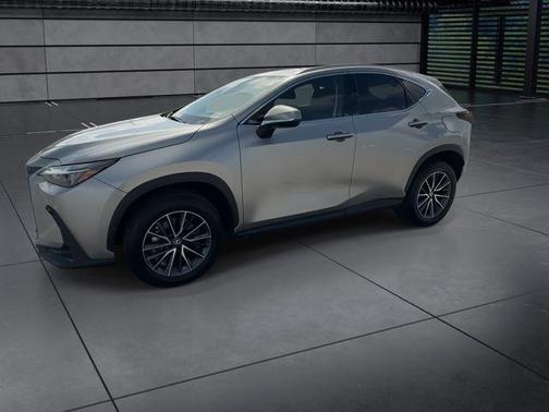 2025 Lexus NX 250 Base