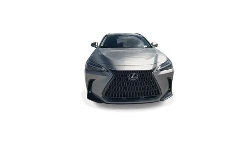 2025 Lexus NX 250 Base