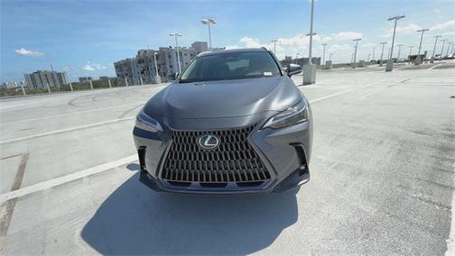 2025 Lexus NX 250 Base